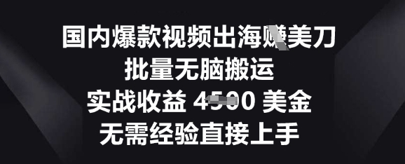 国内爆款视频出海挣美刀，批量无脑搬运，实战收益4.5k，无需经验直接上手-轻创终点站
